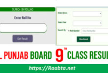 All Punjab Boards 9th Class Result 2023