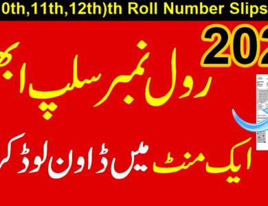 FBISE Federal Board 11th Class Roll Number Slips 2023